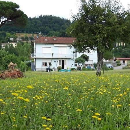 Affittacamere La Foresta Di Sopra Barga Buitenkant foto