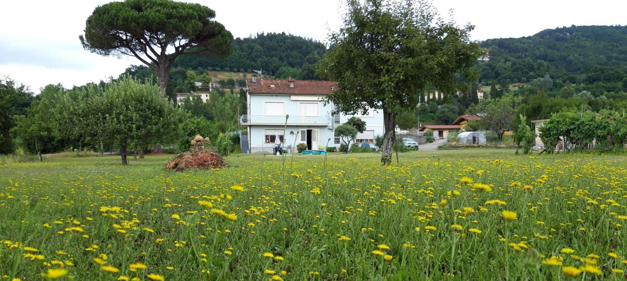 Affittacamere La Foresta Di Sopra Barga Buitenkant foto