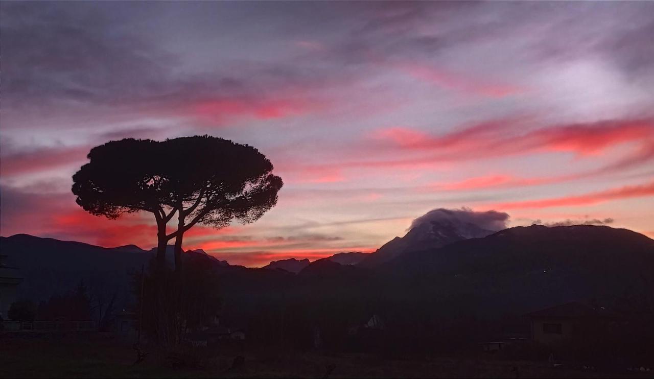 Affittacamere La Foresta Di Sopra Barga Buitenkant foto