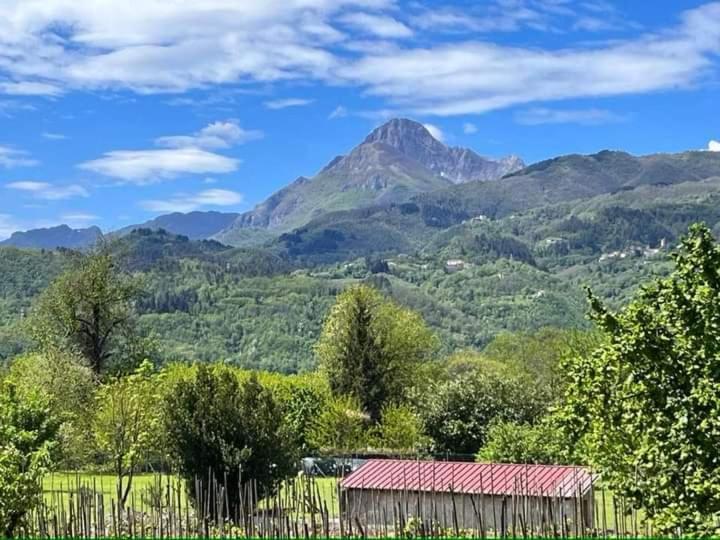 Affittacamere La Foresta Di Sopra Barga Buitenkant foto
